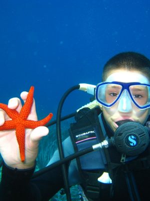 Divers 3