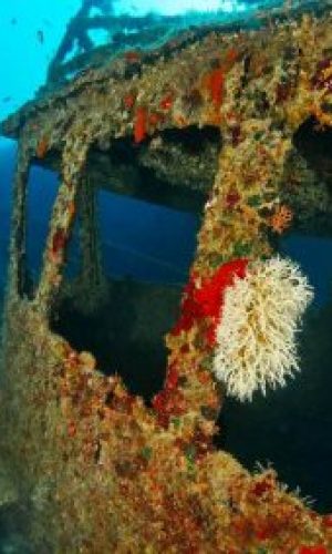 img_0239.jpga_web-400x284-1