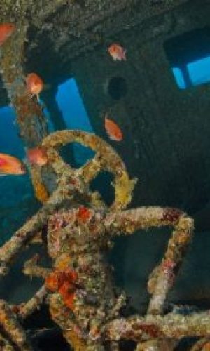 img_0245.tifa_web-400x284-1