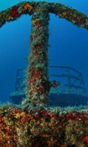 img_0252.tifa_web-400x284-1 (1)