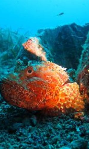 img_5011_web-400x284-1