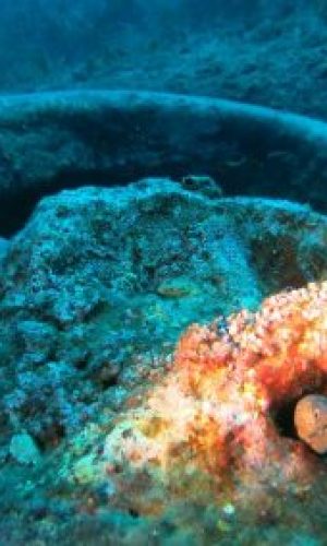 img_5014_web-400x284-1