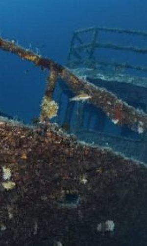 mg_7405.jpgcct_web-400x284-1 (1)