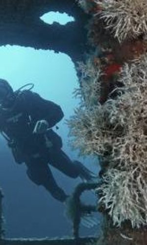 mg_7413.jpgct_web-400x284-1