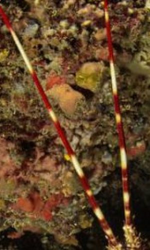 mg_7420-1.jpgct_web-1-400x284-1